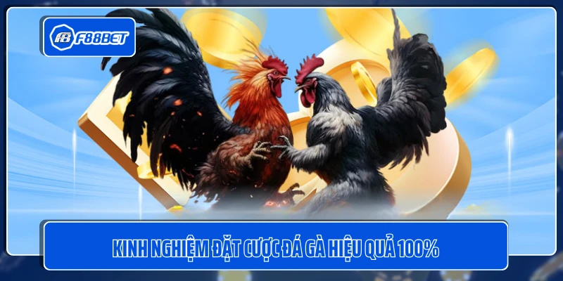 Kinh nghiệm đặt cược đá gà hiệu quả 100%